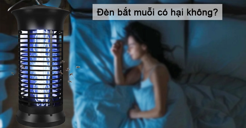 dùng đèn bắt muỗi có hại không trong gia đình